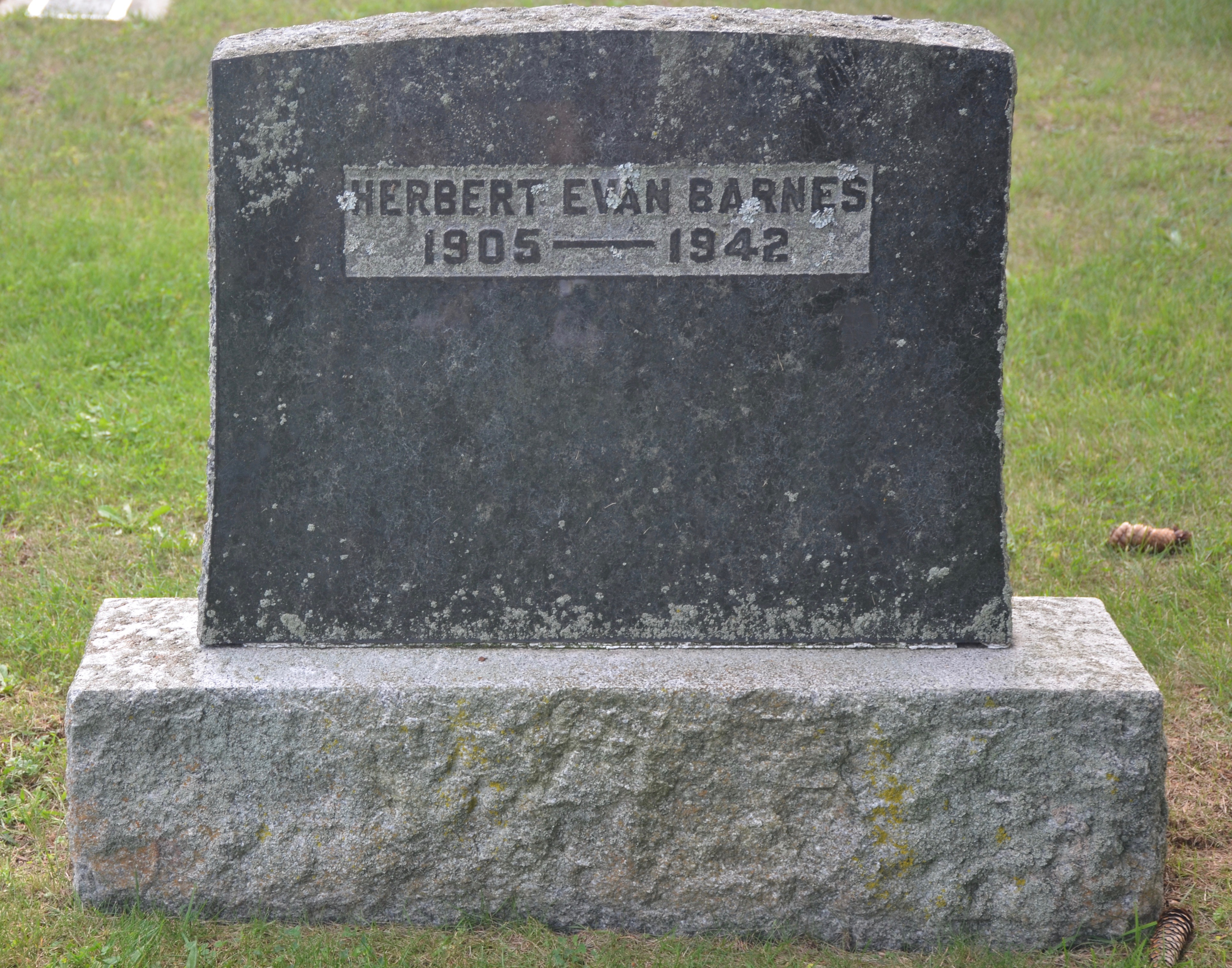 barnes-herbert