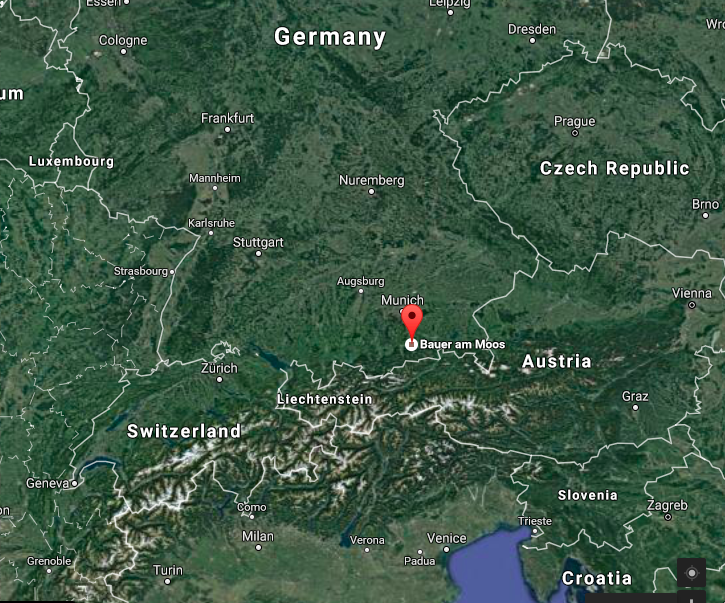 kirsch-8a-bauer-am-moos