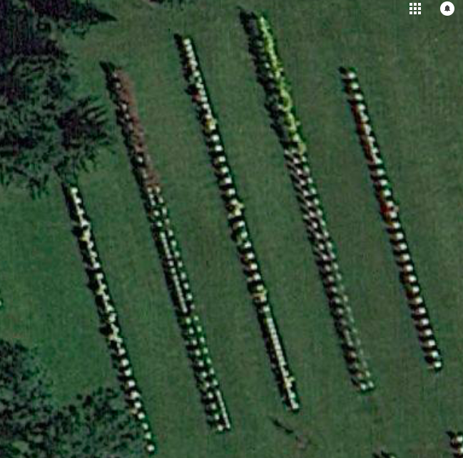 kirsch-8e-bauer-am-moos